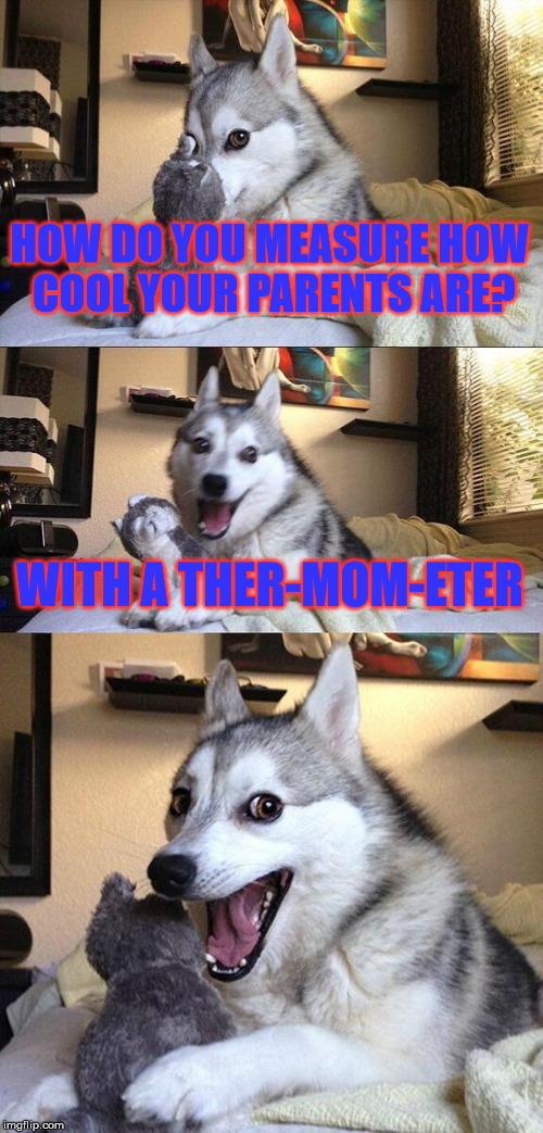 Bad Pun Dog | HOW DO YOU MEASURE HOW COOL YOUR PARENTS ARE? WITH A THER-MOM-ETER | image tagged in memes,bad pun dog | made w/ Imgflip meme maker