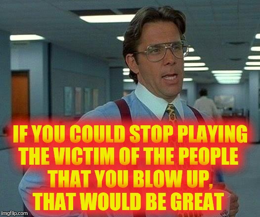 That Would Be Great Meme | IF YOU COULD STOP PLAYING THE VICTIM OF THE PEOPLE        THAT YOU BLOW UP,             THAT WOULD BE GREAT | image tagged in memes,that would be great | made w/ Imgflip meme maker