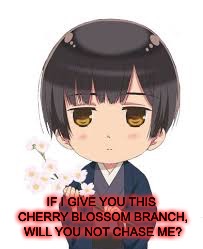 IF I GIVE YOU THIS CHERRY BLOSSOM BRANCH, WILL YOU NOT CHASE ME? | made w/ Imgflip meme maker