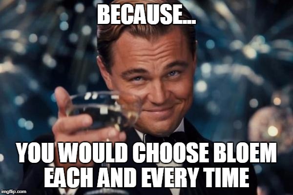 Leonardo Dicaprio Cheers | BECAUSE... YOU WOULD CHOOSE BLOEM EACH AND EVERY TIME | image tagged in memes,leonardo dicaprio cheers | made w/ Imgflip meme maker