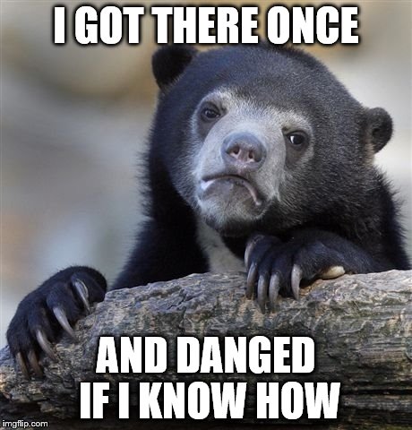 Confession Bear Meme | I GOT THERE ONCE AND DANGED IF I KNOW HOW | image tagged in memes,confession bear | made w/ Imgflip meme maker