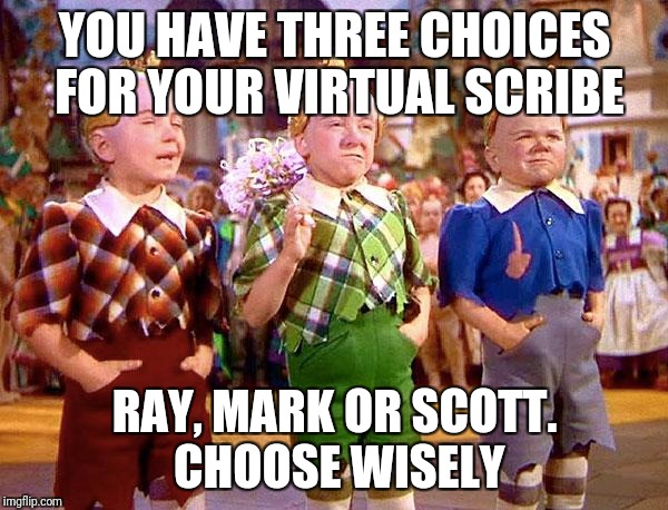 Munchkins | YOU HAVE THREE CHOICES FOR YOUR VIRTUAL SCRIBE; RAY, MARK OR SCOTT. CHOOSE WISELY | image tagged in munchkins | made w/ Imgflip meme maker