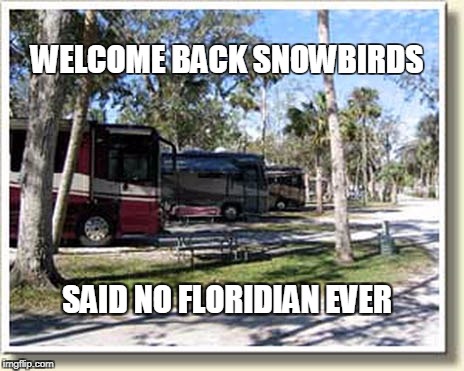 WELCOME BACK
SNOWBIRDS; SAID NO FLORIDIAN EVER | image tagged in camping,snowbird,florida | made w/ Imgflip meme maker