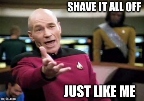 Picard Wtf Meme | SHAVE IT ALL OFF JUST LIKE ME | image tagged in memes,picard wtf | made w/ Imgflip meme maker