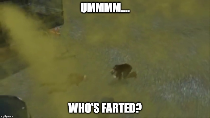 Mlem :3 | UMMMM.... WHO'S FARTED? | image tagged in emergency 2 | made w/ Imgflip meme maker
