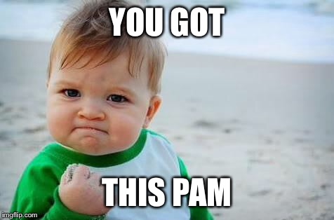 Fist pump baby | YOU GOT; THIS PAM | image tagged in fist pump baby | made w/ Imgflip meme maker