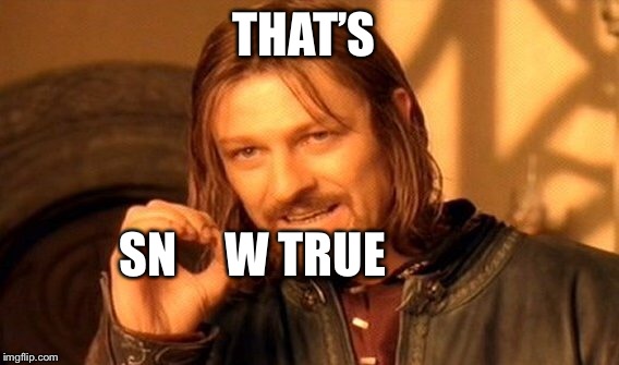 One Does Not Simply Meme | THAT’S SN     W TRUE | image tagged in memes,one does not simply | made w/ Imgflip meme maker