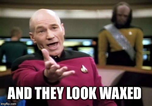 Picard Wtf Meme | AND THEY LOOK WAXED | image tagged in memes,picard wtf | made w/ Imgflip meme maker