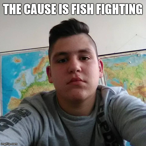 THE CAUSE IS FISH FIGHTING | made w/ Imgflip meme maker