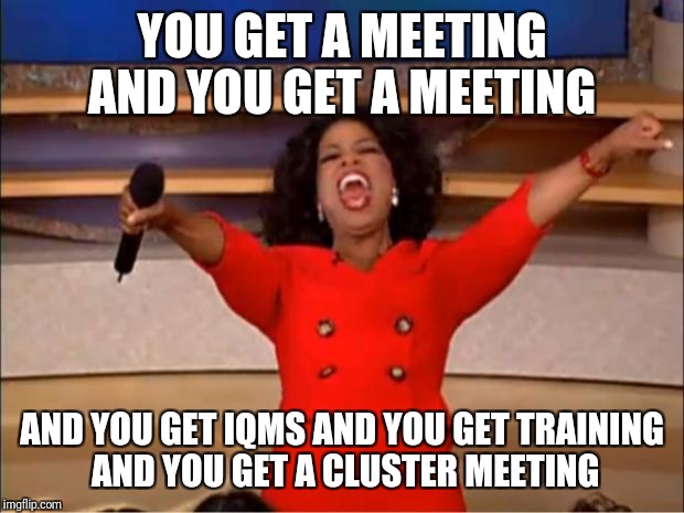Oprah You Get A | YOU GET A MEETING AND YOU GET A MEETING; AND YOU GET IQMS AND YOU GET TRAINING AND YOU GET A CLUSTER MEETING | image tagged in memes,oprah you get a | made w/ Imgflip meme maker