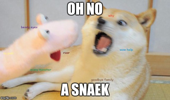 Snake Doge | OH NO; A SNAEK | image tagged in idk | made w/ Imgflip meme maker