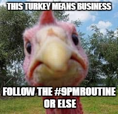 turkey | THIS TURKEY MEANS BUSINESS; FOLLOW THE #9PMROUTINE OR ELSE | image tagged in turkey | made w/ Imgflip meme maker