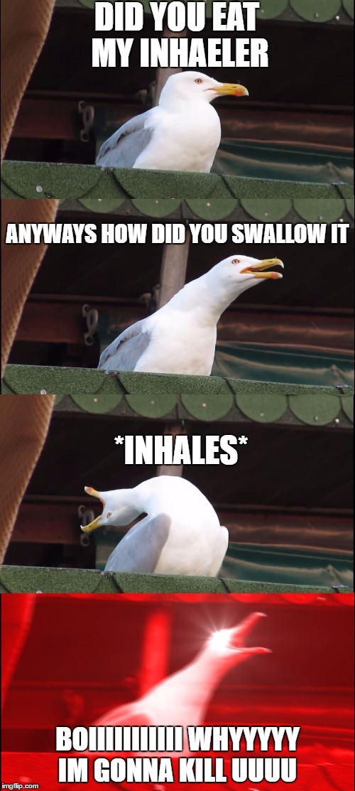 see the inhaler taste the inhaler | DID YOU EAT MY INHAELER; ANYWAYS HOW DID YOU SWALLOW IT; *INHALES*; BOIIIIIIIIIII WHYYYYY IM GONNA KILL UUUU | image tagged in inhaling seagull,funny,memes | made w/ Imgflip meme maker