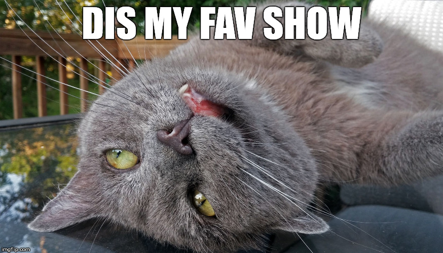 Faded Cat | DIS MY FAV SHOW | image tagged in faded cat | made w/ Imgflip meme maker