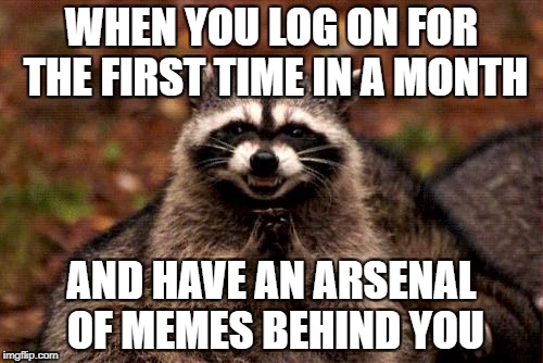 Evil Plotting Raccoon | WHEN YOU LOG ON FOR THE FIRST TIME IN A MONTH; AND HAVE AN ARSENAL OF MEMES BEHIND YOU | image tagged in memes,evil plotting raccoon | made w/ Imgflip meme maker