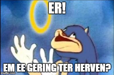 Sonic derp | ER! EM EE GERING TER HERVEN? | image tagged in sonic derp | made w/ Imgflip meme maker