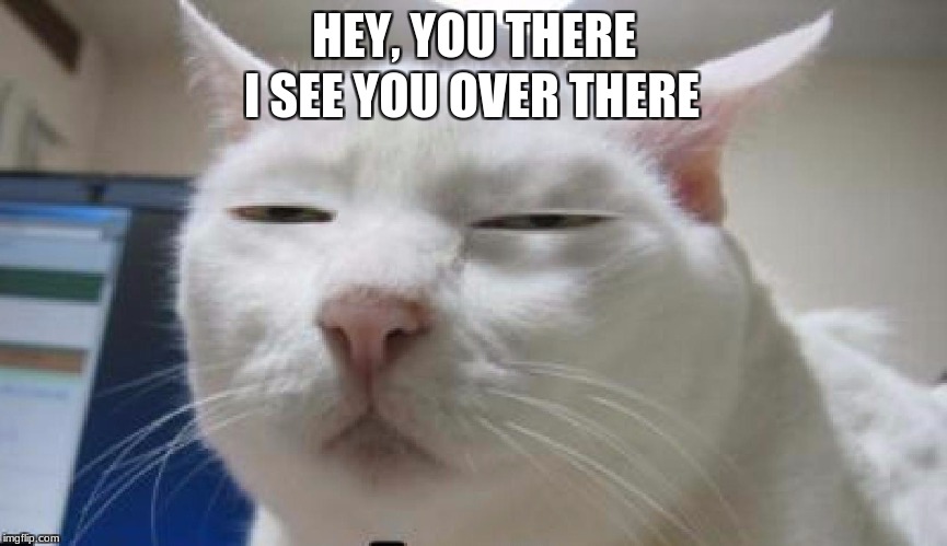 HEY, YOU THERE; I SEE YOU OVER THERE | image tagged in i see what you did there cat | made w/ Imgflip meme maker