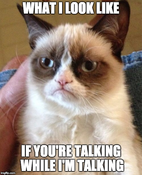 Grumpy Cat Meme | WHAT I LOOK LIKE; IF YOU'RE TALKING WHILE I'M TALKING | image tagged in memes,grumpy cat | made w/ Imgflip meme maker