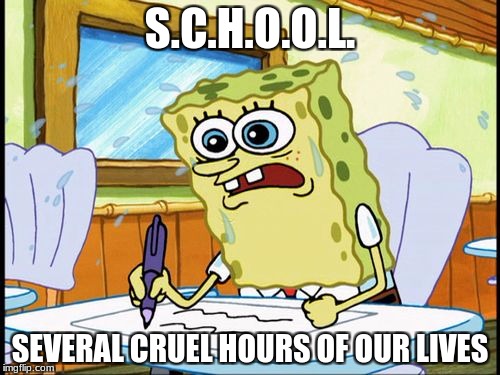 What I learned in boating school is | S.C.H.O.O.L. SEVERAL CRUEL HOURS OF OUR LIVES | image tagged in what i learned in boating school is | made w/ Imgflip meme maker