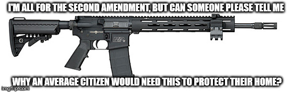 S&W Assault Rifle | I'M ALL FOR THE SECOND AMENDMENT, BUT CAN SOMEONE PLEASE TELL ME; WHY AN AVERAGE CITIZEN WOULD NEED THIS TO PROTECT THEIR HOME? | image tagged in sw assault rifle | made w/ Imgflip meme maker