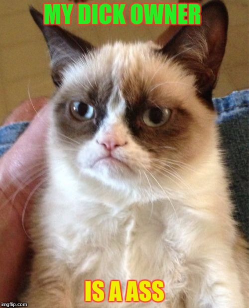 Grumpy Cat | MY DICK OWNER; IS A ASS | image tagged in memes,grumpy cat | made w/ Imgflip meme maker