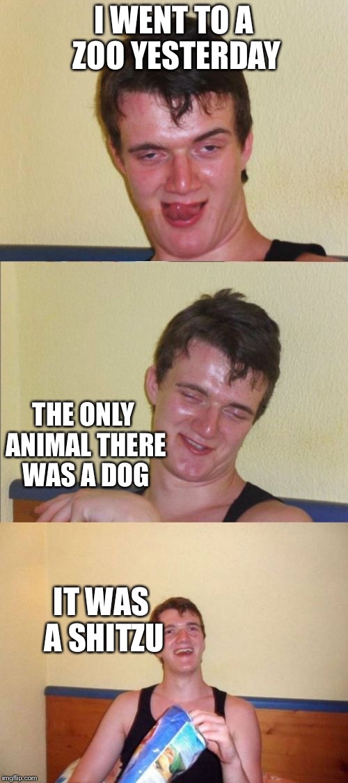10 guy bad pun | I WENT TO A ZOO YESTERDAY; THE ONLY ANIMAL THERE WAS A DOG; IT WAS A SHITZU | image tagged in 10 guy bad pun | made w/ Imgflip meme maker