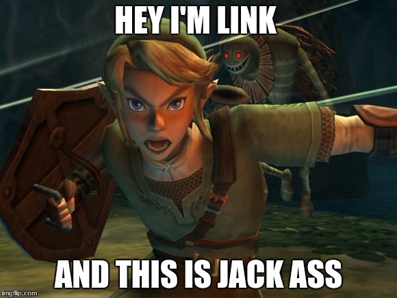 Link Legend of Zelda Yelling | HEY I'M LINK; AND THIS IS JACK ASS | image tagged in link legend of zelda yelling | made w/ Imgflip meme maker