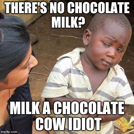 Third World Skeptical Kid | THERE'S NO CHOCOLATE MILK? MILK A CHOCOLATE COW IDIOT | image tagged in memes,third world skeptical kid | made w/ Imgflip meme maker