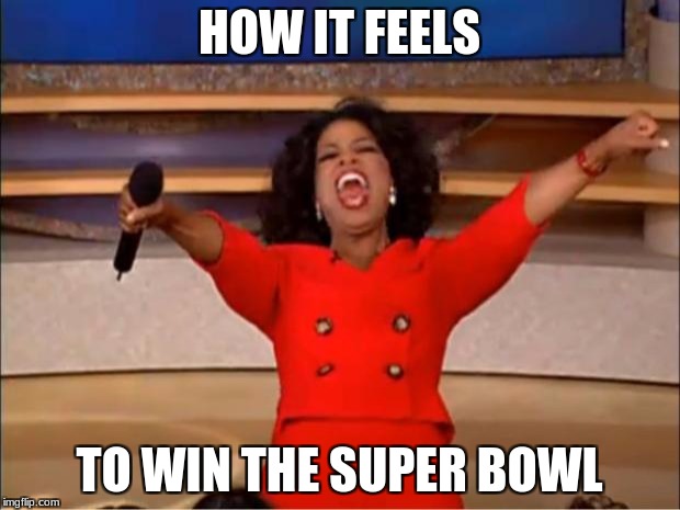 Oprah You Get A Meme | HOW IT FEELS; TO WIN THE SUPER BOWL | image tagged in memes,oprah you get a | made w/ Imgflip meme maker