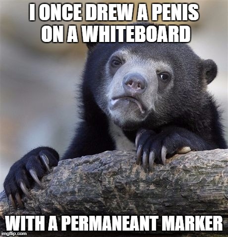 Confession Bear Meme | I ONCE DREW A P**IS ON A WHITEBOARD WITH A PERMANEANT MARKER | image tagged in memes,confession bear | made w/ Imgflip meme maker