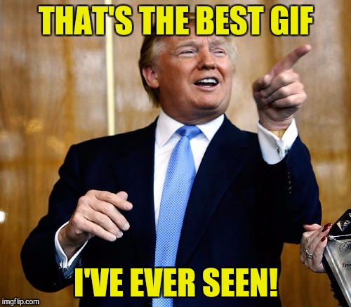 THAT'S THE BEST GIF I'VE EVER SEEN! | made w/ Imgflip meme maker