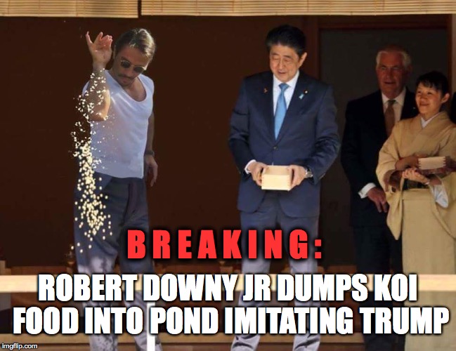 Oh boi | B R E A K I N G :; ROBERT DOWNY JR DUMPS KOI FOOD INTO POND IMITATING TRUMP | image tagged in face you make robert downey jr,robert downey jr,donald trump,japan,one does not simply | made w/ Imgflip meme maker