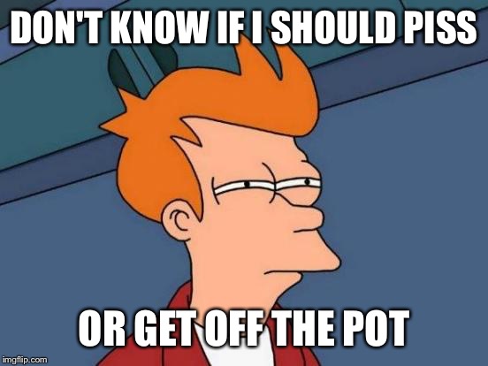 Futurama Fry | DON'T KNOW IF I SHOULD PISS; OR GET OFF THE POT | image tagged in memes,futurama fry | made w/ Imgflip meme maker