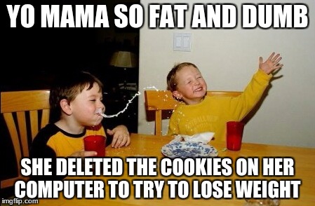 Yo Mamas So Fat | YO MAMA SO FAT AND DUMB; SHE DELETED THE COOKIES ON HER COMPUTER TO TRY TO LOSE WEIGHT | image tagged in memes,yo mamas so fat | made w/ Imgflip meme maker