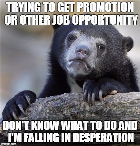 Confession Bear Meme | TRYING TO GET PROMOTION OR OTHER JOB OPPORTUNITY; DON'T KNOW WHAT TO DO AND I'M FALLING IN DESPERATION | image tagged in memes,confession bear | made w/ Imgflip meme maker