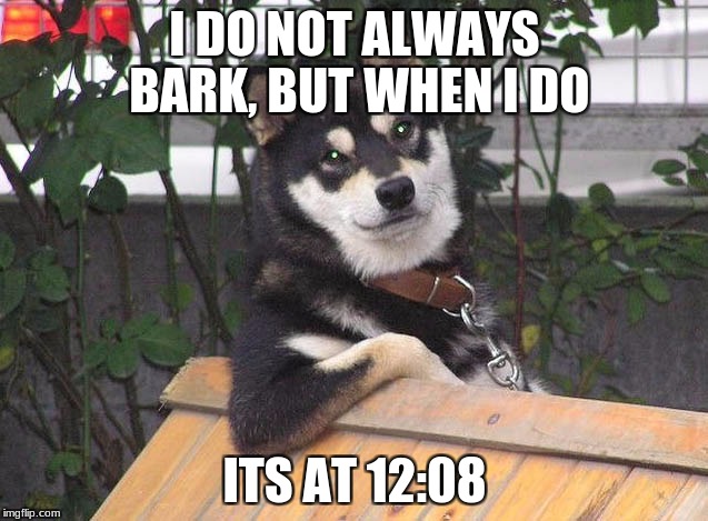 most interesting husky | I DO NOT ALWAYS BARK, BUT WHEN I DO; ITS AT 12:08 | image tagged in most interesting husky | made w/ Imgflip meme maker