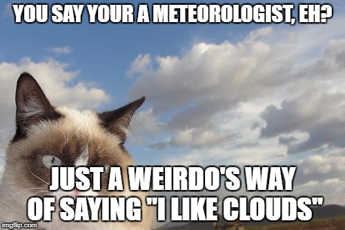 Grumpy Cat Sky | YOU SAY YOUR A METEOROLOGIST, EH? JUST A WEIRDO'S WAY OF SAYING "I LIKE CLOUDS" | image tagged in memes,grumpy cat sky,grumpy cat | made w/ Imgflip meme maker