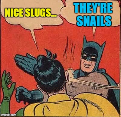 Batman Slapping Robin Meme | NICE SLUGS... THEY'RE SNAILS | image tagged in memes,batman slapping robin | made w/ Imgflip meme maker