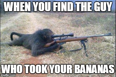 monkeys n guns | WHEN YOU FIND THE GUY; WHO TOOK YOUR BANANAS | image tagged in monkeys n guns | made w/ Imgflip meme maker