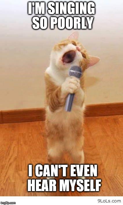 Cat Singer | I'M SINGING SO POORLY; I CAN'T EVEN HEAR MYSELF | image tagged in cat singer | made w/ Imgflip meme maker