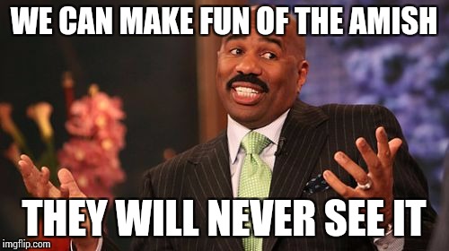 WE CAN MAKE FUN OF THE AMISH THEY WILL NEVER SEE IT | image tagged in memes,steve harvey | made w/ Imgflip meme maker