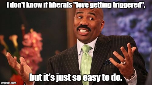 Am I right? | I don't know if liberals "love getting triggered", but it's just so easy to do. | image tagged in memes,steve harvey,triggered liberal | made w/ Imgflip meme maker