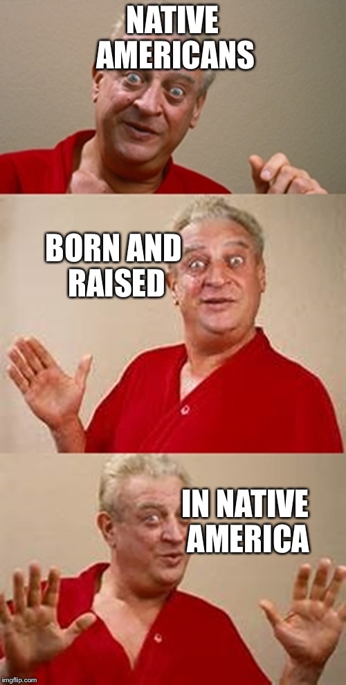 bad pun Dangerfield  | NATIVE AMERICANS; BORN AND RAISED; IN NATIVE AMERICA | image tagged in bad pun dangerfield | made w/ Imgflip meme maker