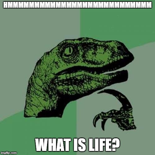Philosoraptor Meme | HMMMMMMMMMMMMMMMMMMMMMMMMMMM; WHAT IS LIFE? | image tagged in memes,philosoraptor | made w/ Imgflip meme maker