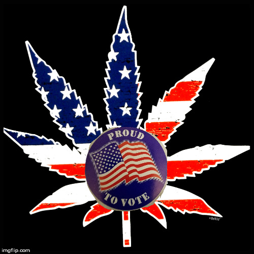 Vote for weed | image tagged in vote,weed,420 | made w/ Imgflip meme maker