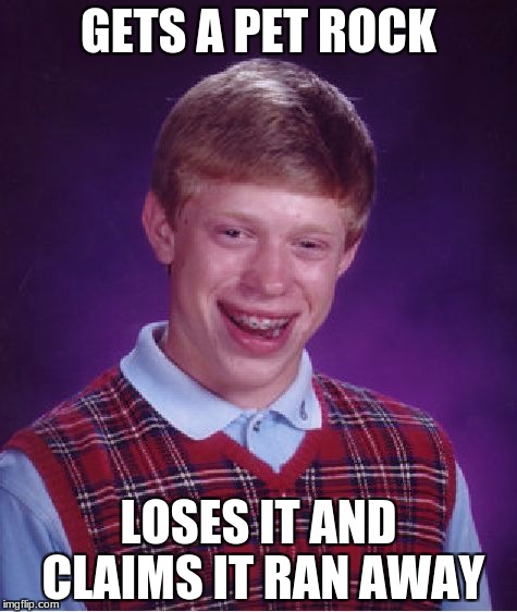 Bad Luck Brian | GETS A PET ROCK; LOSES IT AND CLAIMS IT RAN AWAY | image tagged in memes,bad luck brian | made w/ Imgflip meme maker