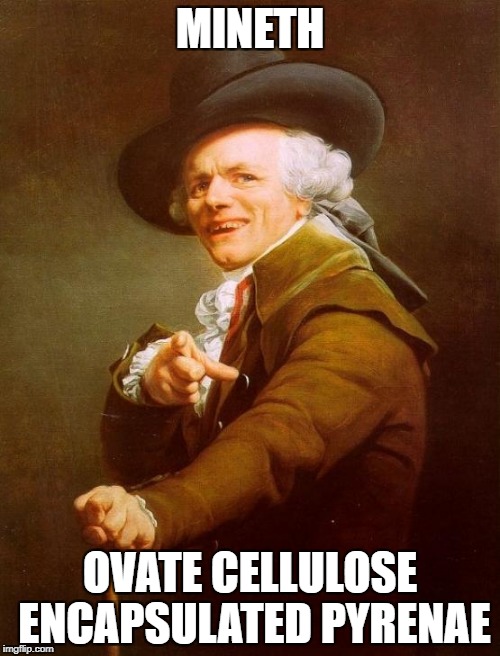 HA!!! GOT'EM!!! | MINETH; OVATE CELLULOSE ENCAPSULATED PYRENAE | image tagged in memes,joseph ducreux,deez nutz,nuts,old english,sfw | made w/ Imgflip meme maker
