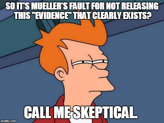 Futurama Fry Meme | SO IT'S MUELLER'S FAULT FOR NOT RELEASING THIS "EVIDENCE" THAT CLEARLY EXISTS? CALL ME SKEPTICAL. | image tagged in memes,futurama fry | made w/ Imgflip meme maker