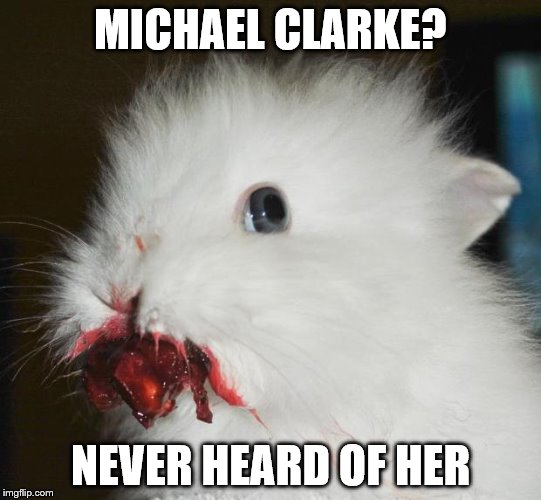 Rabbit Cherry | MICHAEL CLARKE? NEVER HEARD OF HER | image tagged in rabbit cherry | made w/ Imgflip meme maker