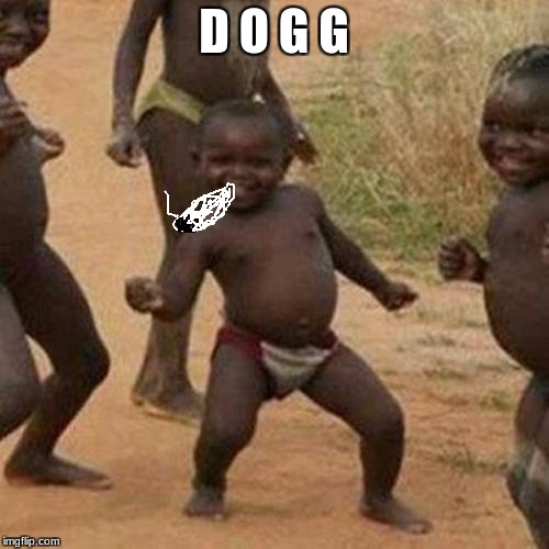 D O G G | image tagged in memes,third world success kid | made w/ Imgflip meme maker